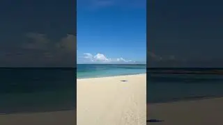 Crystal Blue Water & Gentle Beach Vibes 🌊 Relaxing Nature