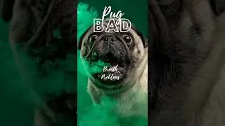 Pug BREATH #dog #pug #puglife