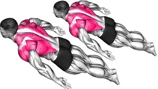 Pelvic Floor Training for Better Posture & Stability