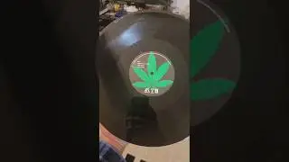 #music #vinyl #vinylhistory #musiclover #vinylcollection #drdre #thechronic