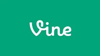 an astounding vine compilation