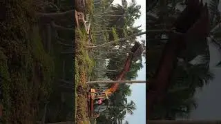 cycling #short nh66 kannur bypass