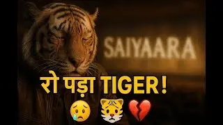Guddu Tiger रो पड़ा Saiyaara Movie देखकर 😭 | Emotional Reaction | Funny Vlog #youtube #saiyaara