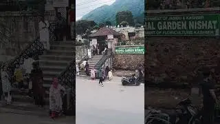 Srinagar Diaries (Part-4)