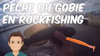 Peche du Gobie au Leurre en Rockfishing a Port Camargue HD ;)