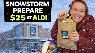 Massive SNOWSTORM Coming | $25 ALDI Groceries, DOCTOR & Little Money