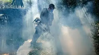 'Landmark' vaccine breakthrough in global fight against malaria