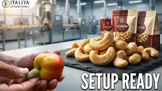 🌰🔧 ITALIYA INTERNATIONAL &ndash; COMPLETE CASHEW PROCESSING SOLUTIONS 🔧🌰