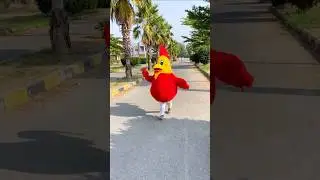 смешной петух #смешной