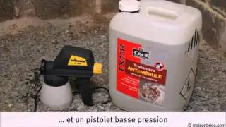 Traitement contre la m&eacute;rule