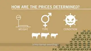 Meat Naturally Auction Process isiZULU
