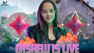 🔴regular streamer is here !! #valorant  #girlgamer #girlgamervalo