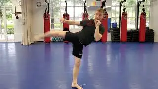 Online Course: Adult Krav Maga: Lesson #19