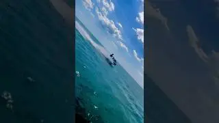 ￼Jetski in Florida 🪼🪸🌊🐠#bonitabeach #florida #jetski #beachlife #beachvibes