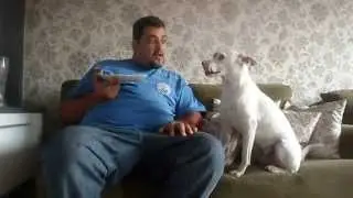 cachorro discute com dono
