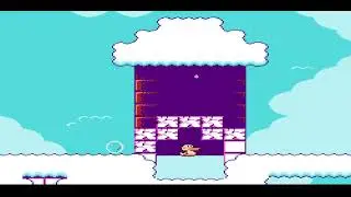 B&ouml;bl Any% NESDev