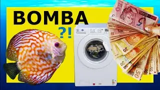 ECONOMIZE | Como usar bomba de máquina de lavar no aquarismo 1