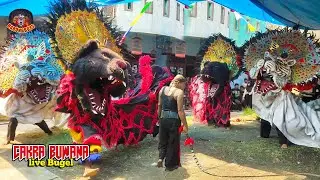 Aksi Barongan Demak Ngamuk!! Barongan Cakra Buwana live Bugel | BarongBoys