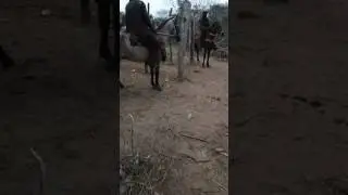 Vaqueiros Nando e Nandinho de Aquidab&atilde; Sergipe