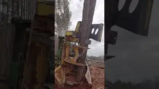 Modern Forestry Machinery: Maximum Efficiency and Speed