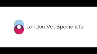 Navigating Veterinary Care in the Setting of COVID-19