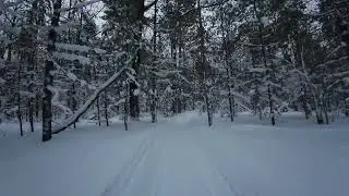 DJI 20260106095702 0008 D