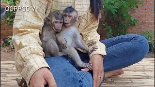 So Sweet Shally follow Hugging  Monkey Janny / Shally Really Miss Janny