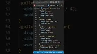 Image Gallery using HTML CSS & JavaScript | 