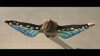 Spray Life - The Groove (Official Video)
