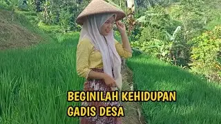 Beginilah Kehidupan Gadis Desa