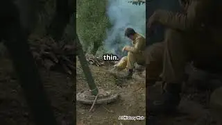 Why Hitler Lost World War 2: Major Reasons 🧐