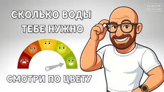 Вся правда о норме воды для мужчин и женщин!
