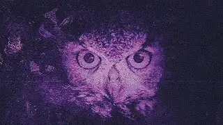 𝐒𝐭𝐞𝐫𝐥𝐢𝐧𝐠 𝐌𝐨𝐬𝐬 & 𝐉𝐚𝐜𝐤 𝐖𝐚𝐱 - 𝐒𝐮𝐩𝐞𝐫𝐬𝐨𝐧𝐢𝐜 𝐁𝐚𝐬𝐬