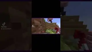 When the lag times so perfectly with the conversation #minecraft #minecraftsmp #laggingout