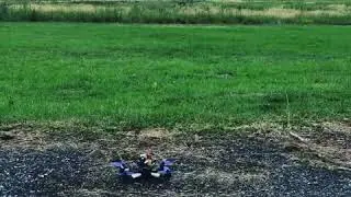 Maiden flight Of the Qav-r from Lumenier with Connex Prosight
