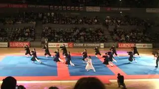 Yuan Li Min and Wudang Pai performing Wudang Tai Chi 袁理敏和武当派表演武当太极