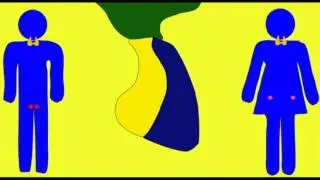 ENDOCRINE SYSTEM: ANTERIOR PITUITARY HORMONES