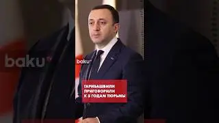 Экс-премьер Грузии признал вину | Гарибашвили приговорили к 5 годам тюрьмы