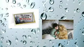 О короновирусе с юмором