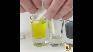 Amazing Science: DIY Experiments for Kids! 🔍🎉 #experiment #rewind