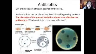 Chap 10 (Part 2) - Antibiotics and Antibiotic Resistance | Cambridge A-Level 9700 Biology