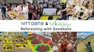 NTT Data & SankalpTaru: Reforesting with Seedballs