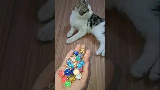 Cat Bella Beads 🌈🌸Reverse video#marblerunandmore #cat #reverse
