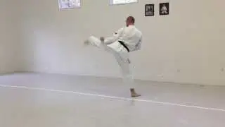 Kizami Mawashi Geri, Mawashi Geri | IKD Testing Syllabus videos | Shotokan Karate 2013