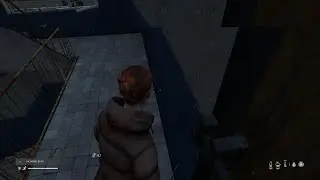 Dayz clips