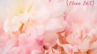 90 Days - P!nk ft. Wrabel (Clean Version)