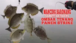 Cara Mancing Baronang Saat Ombak Tenang , Dapat 80 Ikan 2 Jam : Rabbitfish Fishing for Fun Fishing