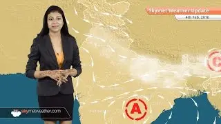 Weather Forecast for February 04: Morning in North India to be cold and fog free