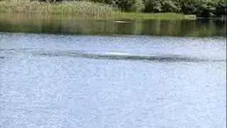 Physical Strategies to Control Aquatic Plants