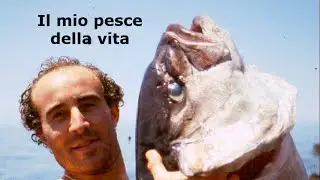 Pescasub: Il pesce della vita